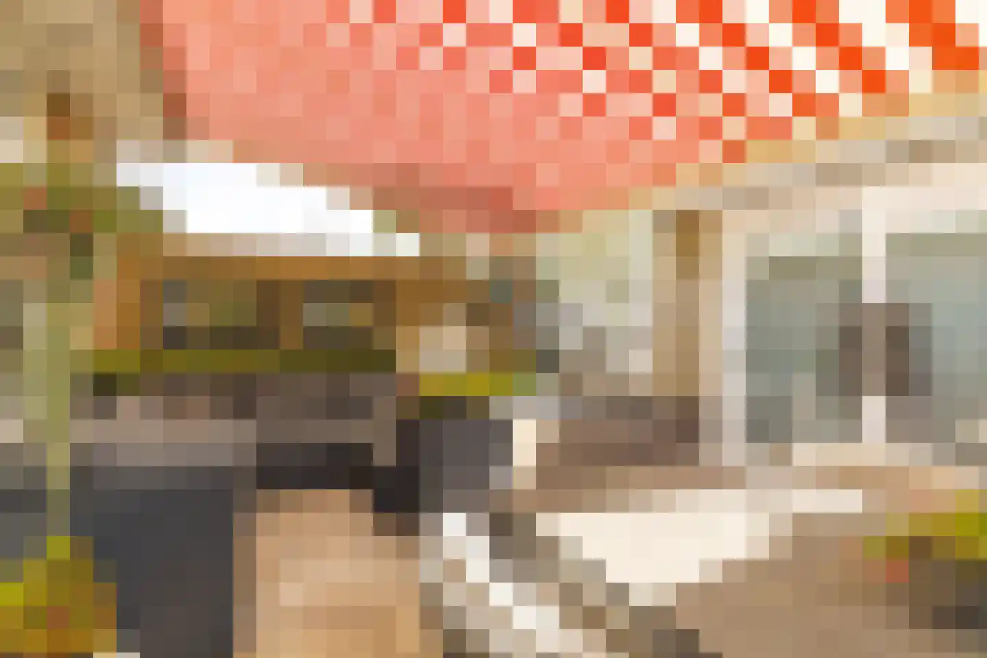 Kardinaal van Rossumstraat 32 d Tilburg thumbnail 49