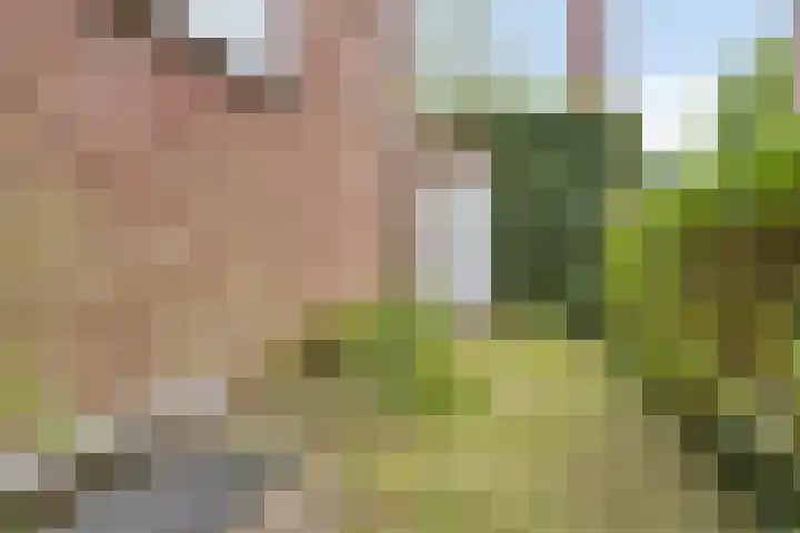 Kardinaal van Rossumstraat 32 Dongen thumbnail 11