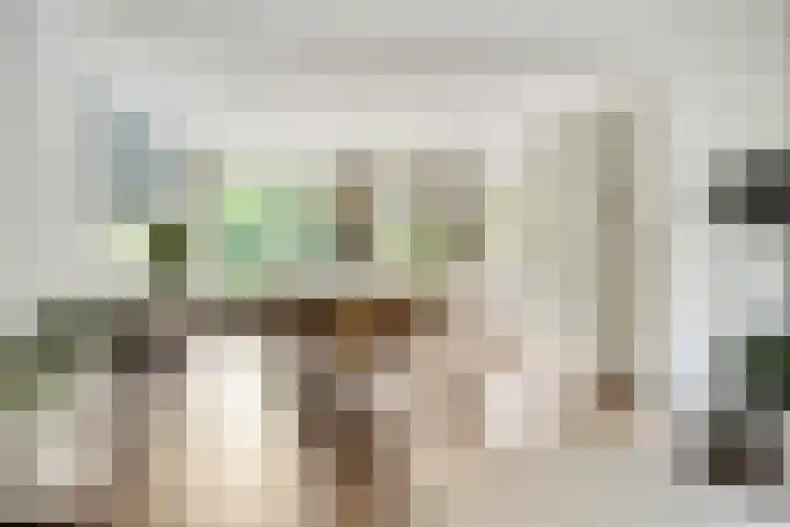 Kardinaal van Rossumstraat 32 Dongen thumbnail 16