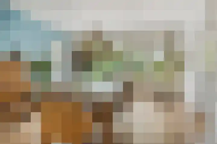 Kardinaal van Rossumstraat 32 Dongen thumbnail 17