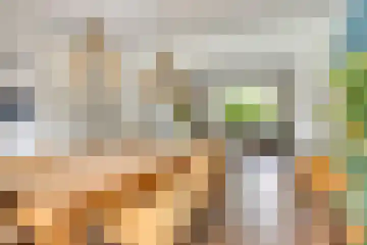 Kardinaal van Rossumstraat 32 Dongen thumbnail 18