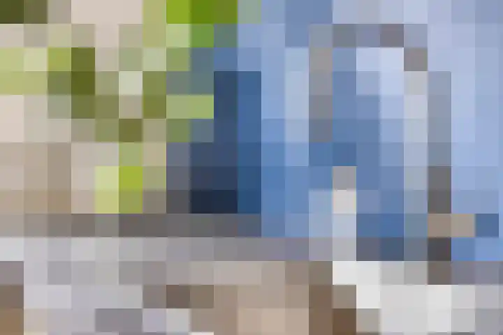 Kardinaal van Rossumstraat 32 Dongen thumbnail 22