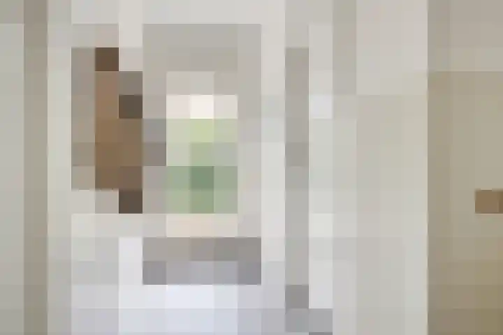 Kardinaal van Rossumstraat 32 Dongen thumbnail 27