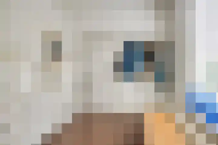 Kardinaal van Rossumstraat 32 Dongen thumbnail 31