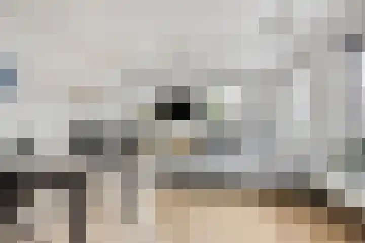 Kardinaal van Rossumstraat 32 Dongen thumbnail 32