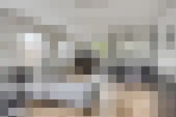 Kardinaal van Rossumstraat 32 Dongen thumbnail 34