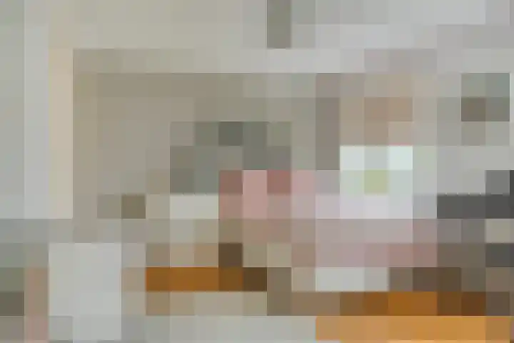 Kardinaal van Rossumstraat 32 Dongen thumbnail 41