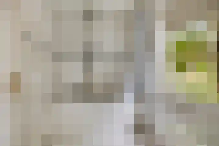 Kardinaal van Rossumstraat 32 Dongen thumbnail 5