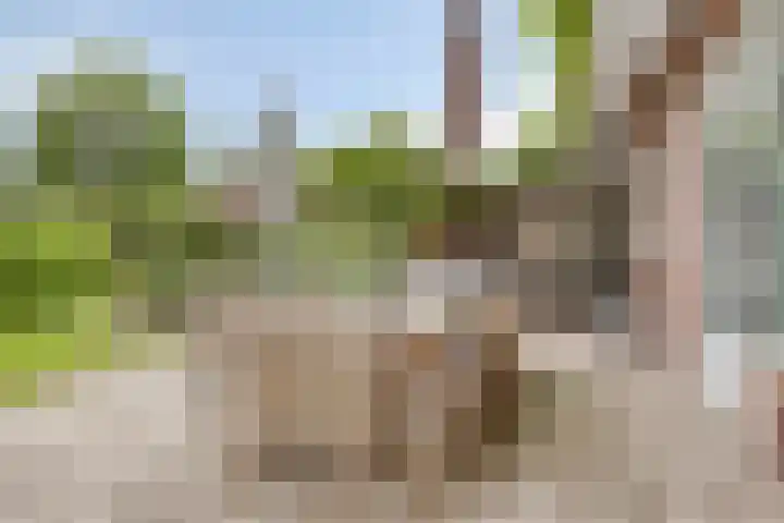 Kardinaal van Rossumstraat 32 Dongen thumbnail 57