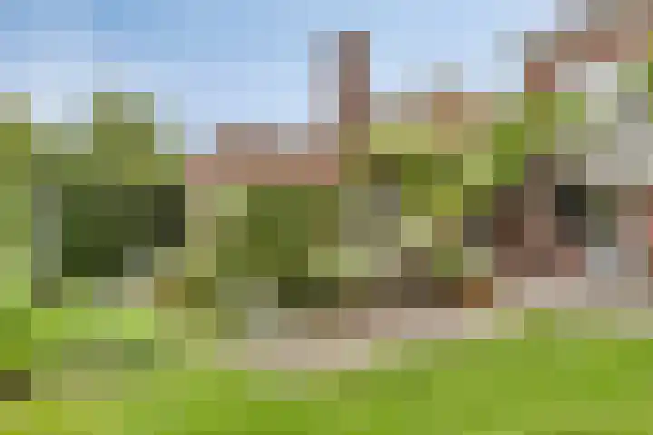 Kardinaal van Rossumstraat 32 Dongen thumbnail 61