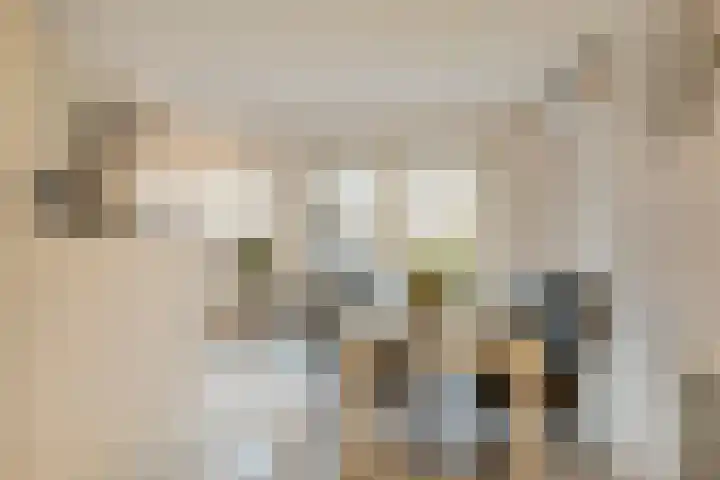 Kardinaal van Rossumstraat 32 e Tilburg thumbnail 5