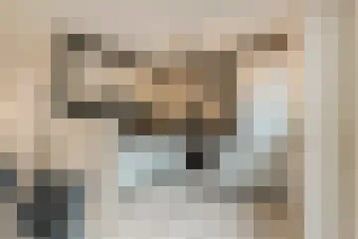 Kardinaal van Rossumstraat 32 e Tilburg thumbnail 7