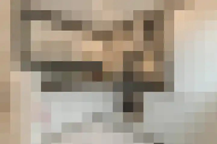 Kardinaal van Rossumstraat 32 e Tilburg thumbnail 8