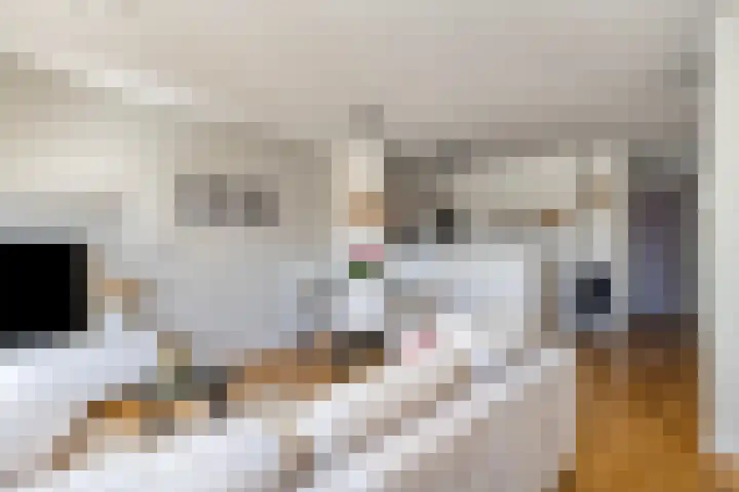 Kardinaal van Rossumstraat 40 Tilburg thumbnail 15