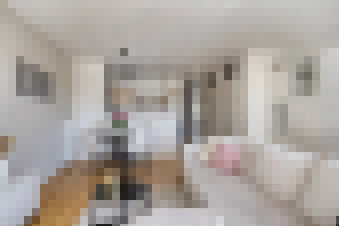 Kardinaal van Rossumstraat 40 Tilburg thumbnail 16
