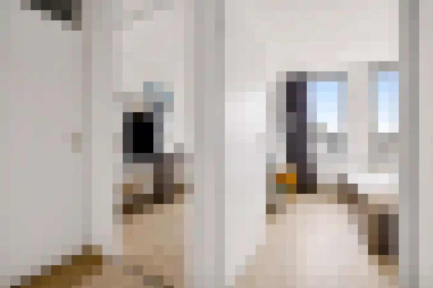 Kardinaal van Rossumstraat 42 Tilburg thumbnail 12