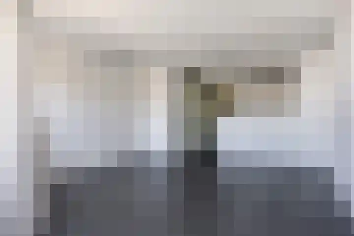 Kardinaal van Rossumstraat 50 Tilburg thumbnail 6