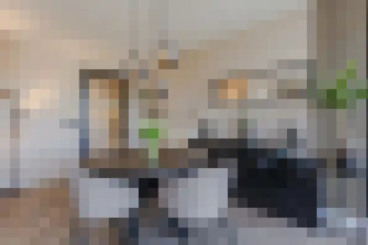 Kardinaal van Rossumstraat 76 Tilburg thumbnail 12