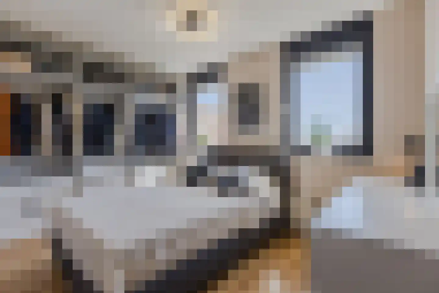 Kardinaal van Rossumstraat 76 Tilburg thumbnail 14