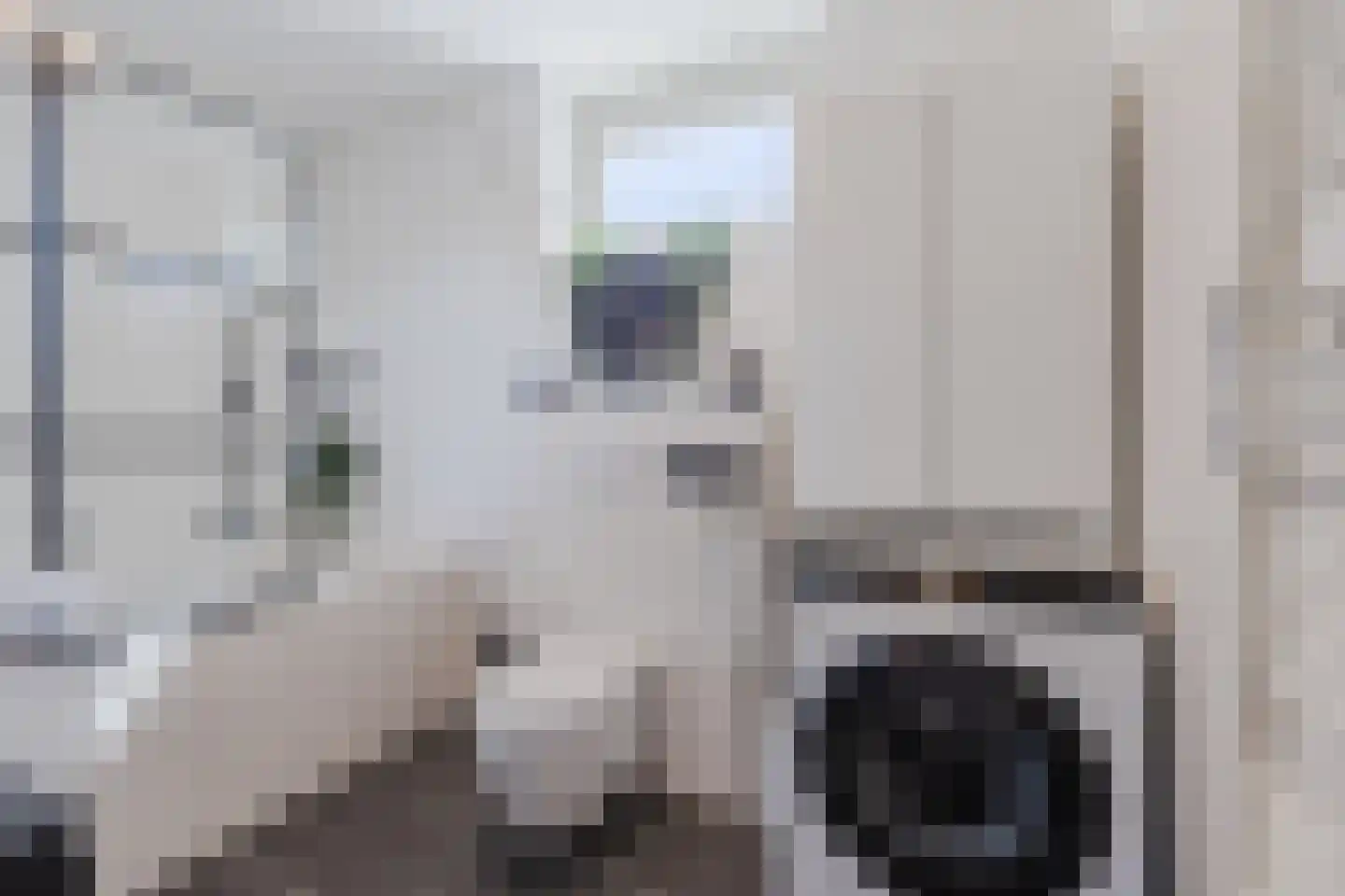 Kardinaal van Rossumstraat 76 Tilburg thumbnail 21