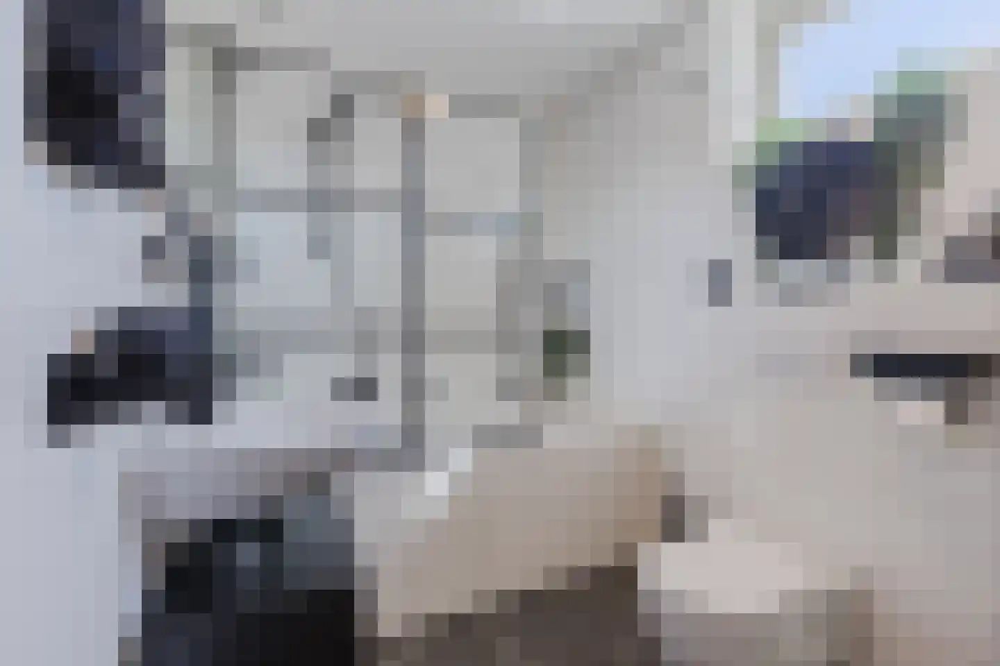 Kardinaal van Rossumstraat 76 Tilburg thumbnail 22