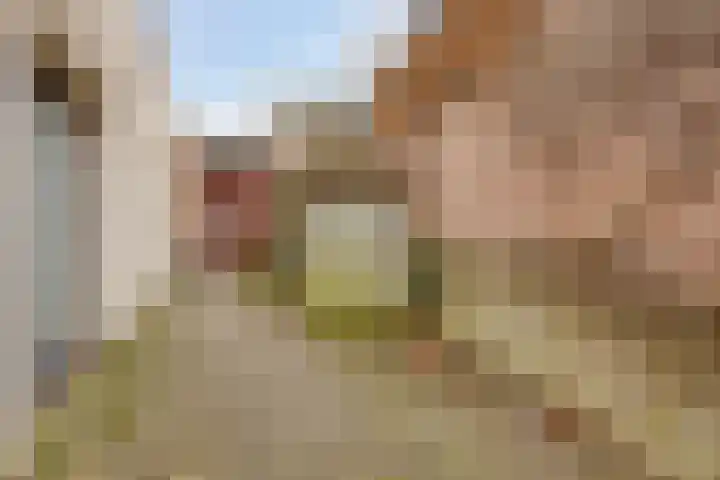 Kardinaal van Rossumstraat 83 Dongen thumbnail 10