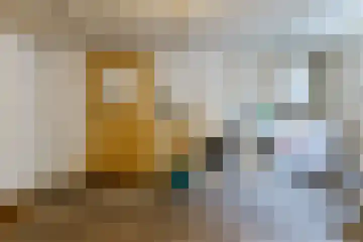 Kardinaal van Rossumstraat 85 Dongen thumbnail 33