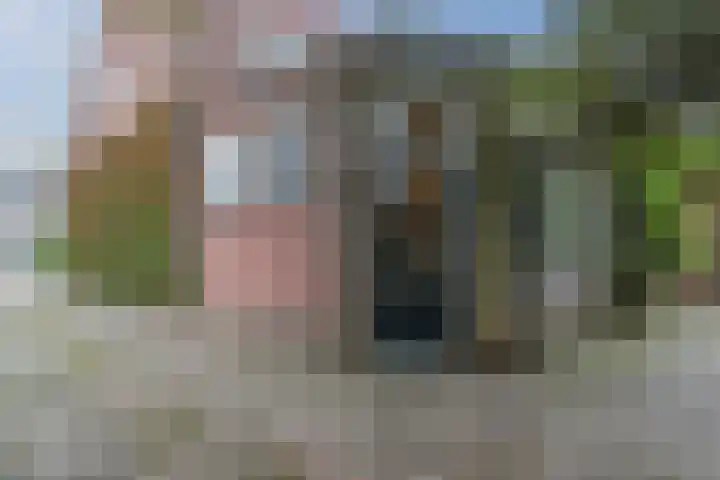 Kardinaal van Rossumstraat 85 Dongen thumbnail 53