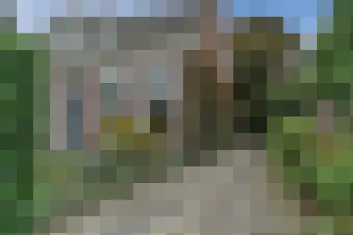 Kardinaal van Rossumstraat 85 Dongen thumbnail 71