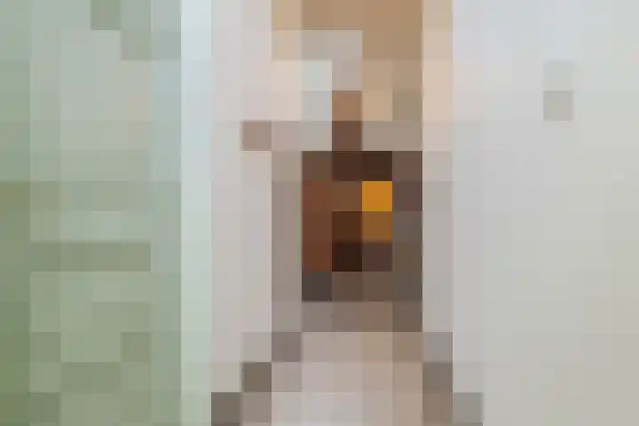 Kardinaal van Rossumstraat 85 Dongen thumbnail 8