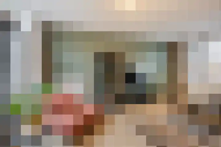 Kardinaal van Rossumstraat 93 Dongen thumbnail 11