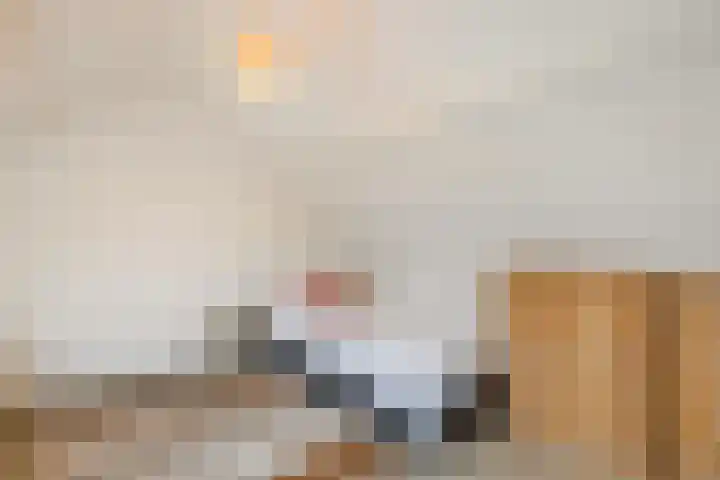Kardinaal van Rossumstraat 93 Dongen thumbnail 38