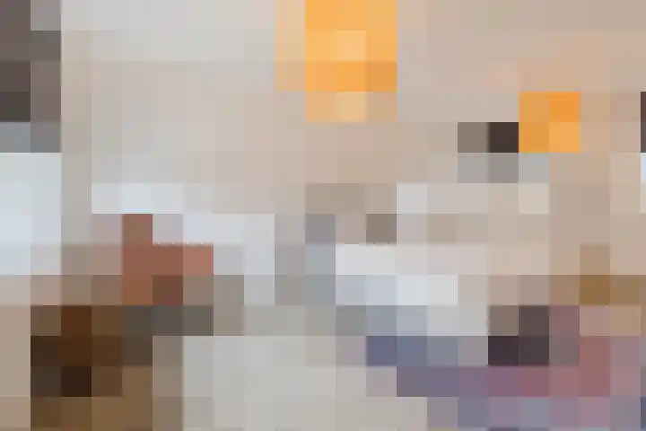 Kardinaal van Rossumstraat 93 Dongen thumbnail 4