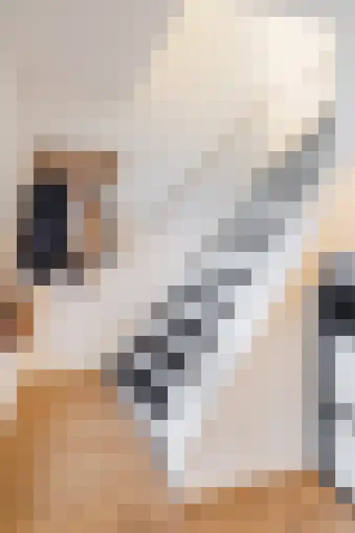 Kardinaal van Rossumstraat 93 Dongen thumbnail 8