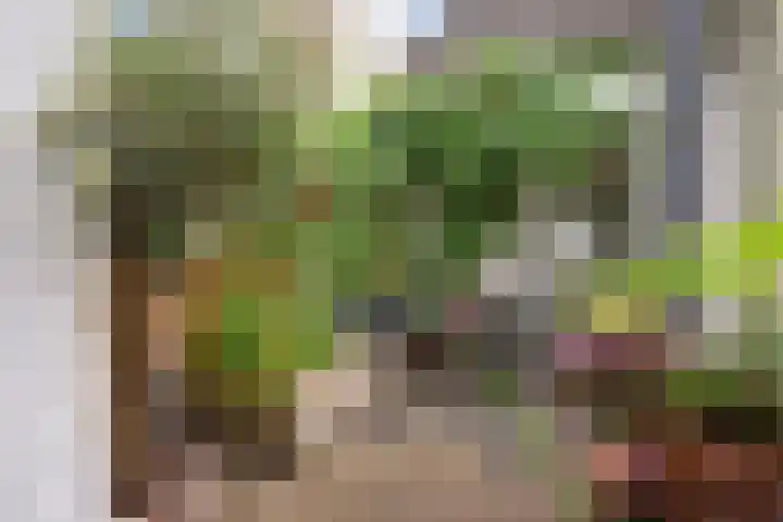 Kardinaal Vaughanstraat 18 Tilburg thumbnail 31