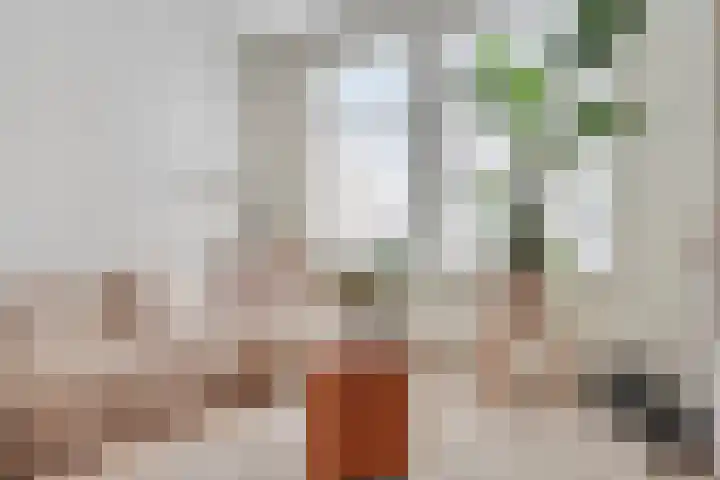 Kardinaal Vaughanstraat 18 Tilburg thumbnail 7