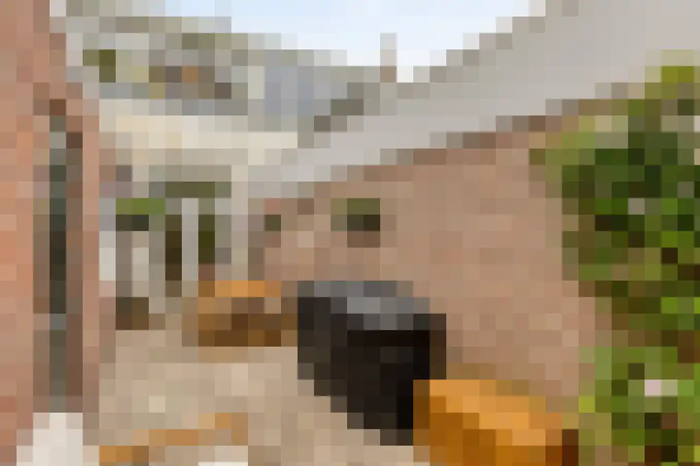 Kardinaal Vaughanstraat 30 Tilburg thumbnail 38