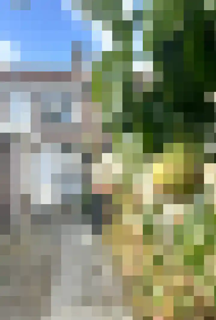 Kardinaal Vaughanstraat 37 Tilburg thumbnail 20