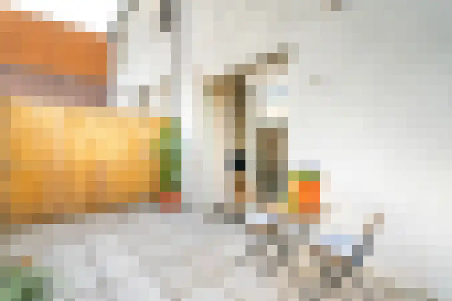 Kardinaal Vaughanstraat 47 Tilburg thumbnail 21