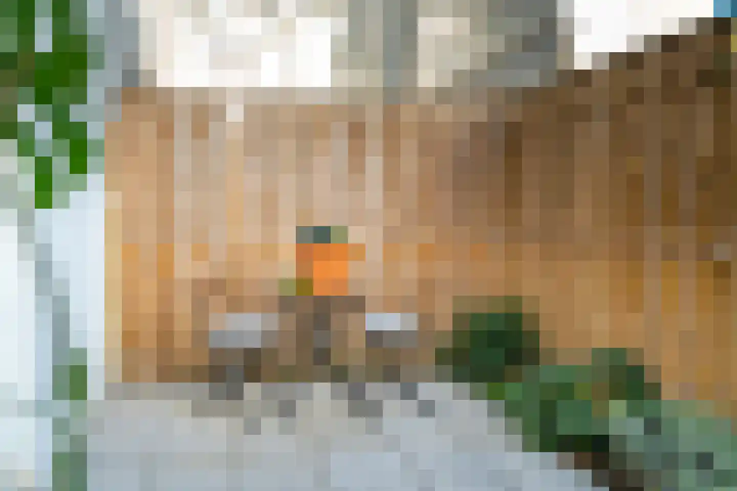 Kardinaal Vaughanstraat 47 Tilburg thumbnail 22