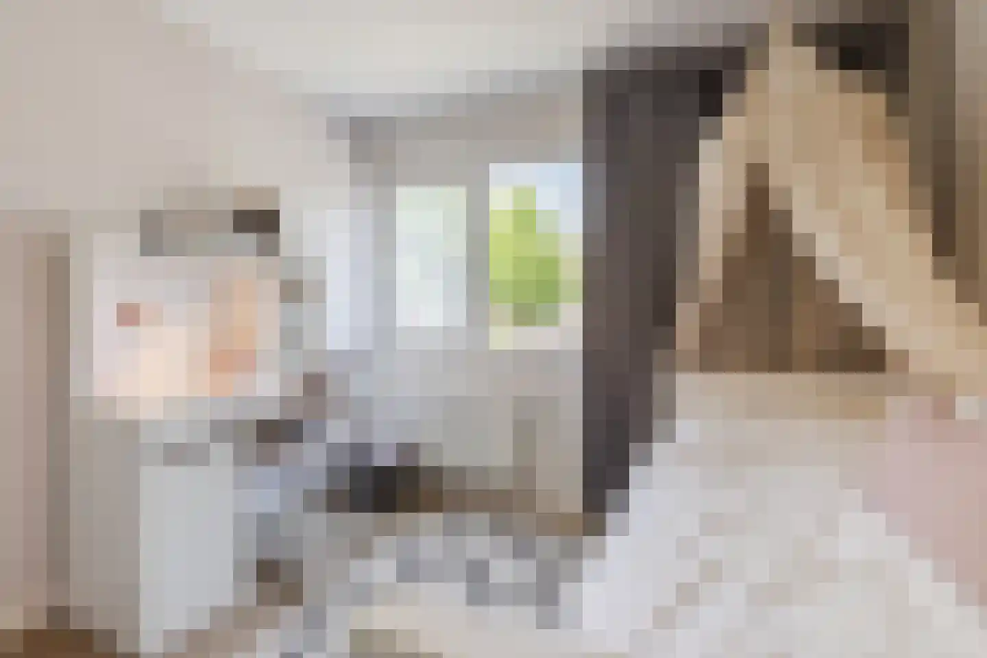 Kardinaalsmuts 103 Cuijk thumbnail 17