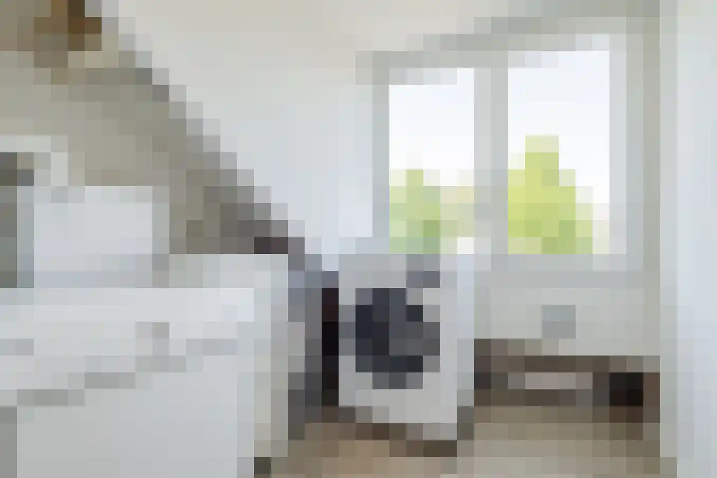 Kardinaalsmuts 103 Cuijk thumbnail 29