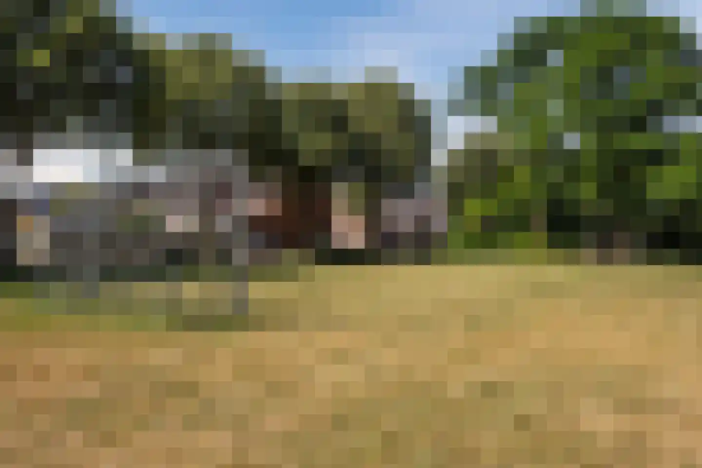 Kardinaalsmuts 103 Cuijk thumbnail 34