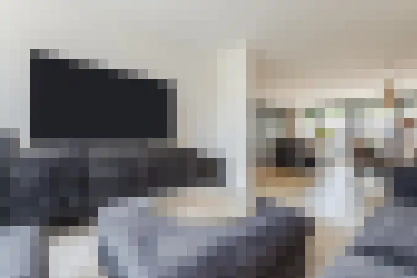 Kardinaalsmuts 103 Cuijk thumbnail 8