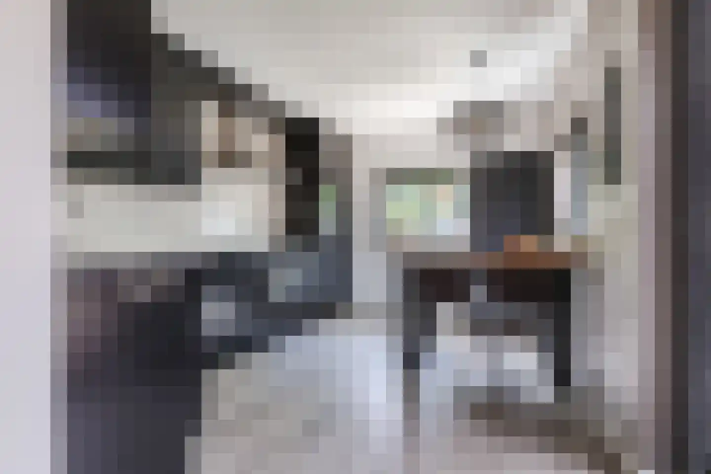Kardinaalsmuts 110 Cuijk thumbnail 11