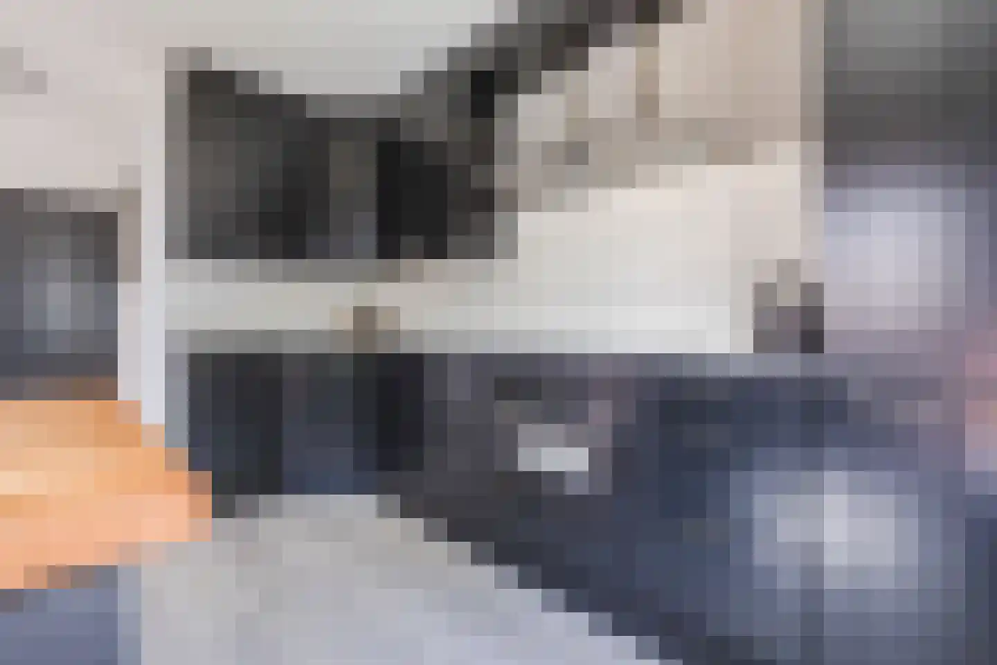 Kardinaalsmuts 110 Cuijk thumbnail 12
