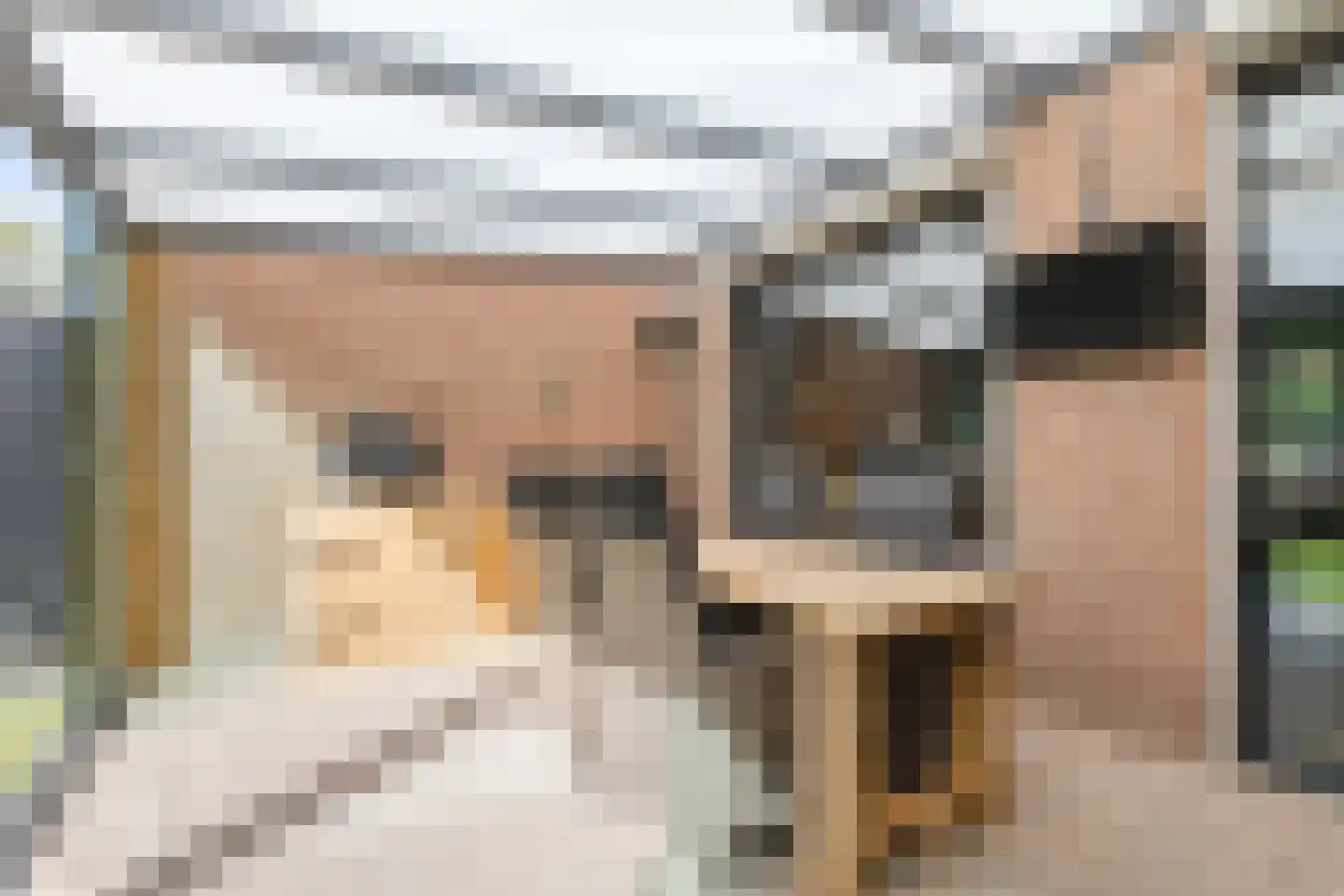 Kardinaalsmuts 110 Cuijk thumbnail 24