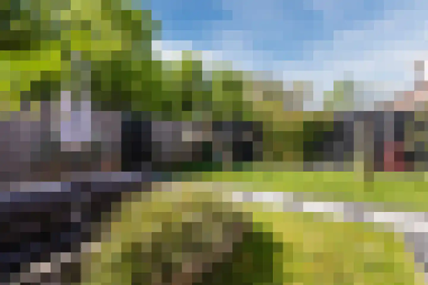 Kardinaalsmuts 110 Cuijk thumbnail 25