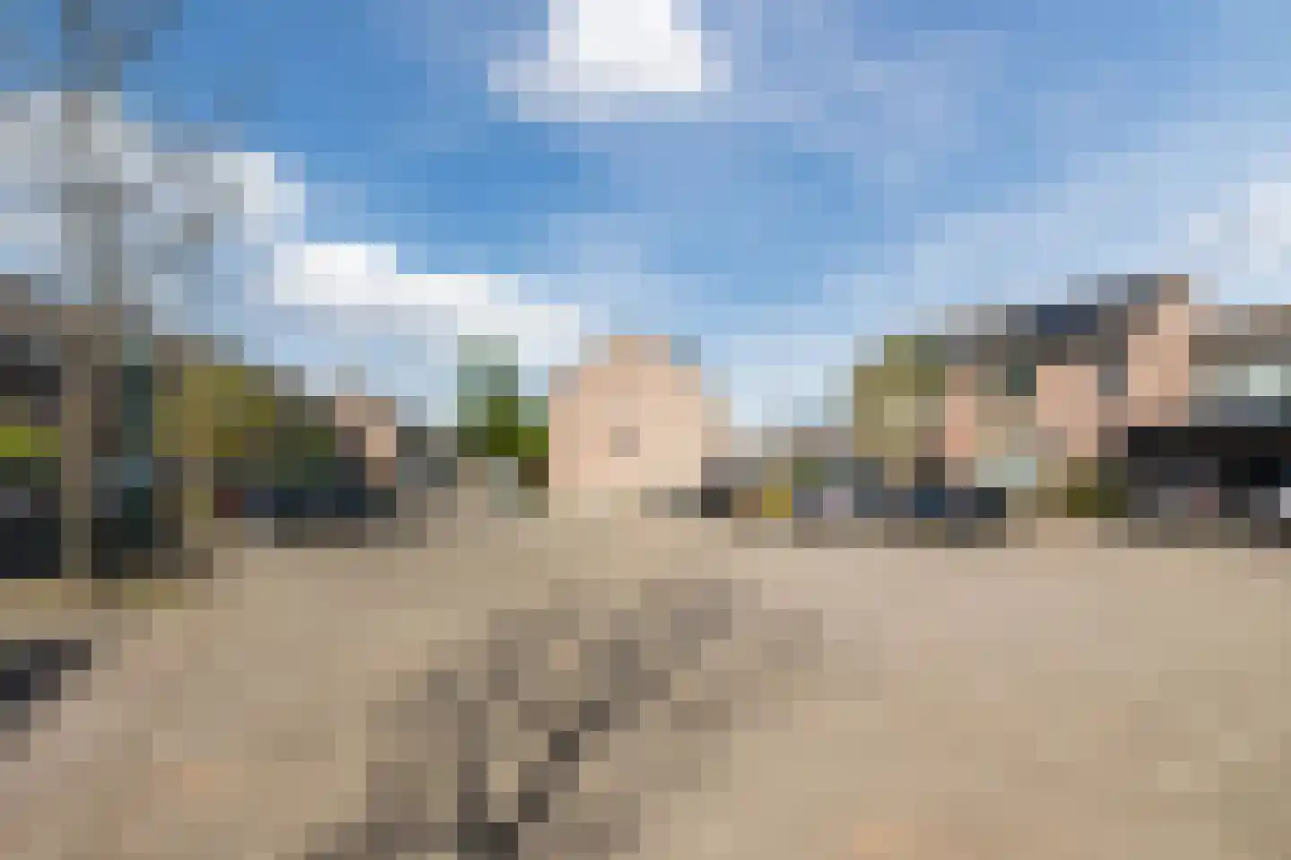 Kardinaalsmuts 110 Cuijk thumbnail 30
