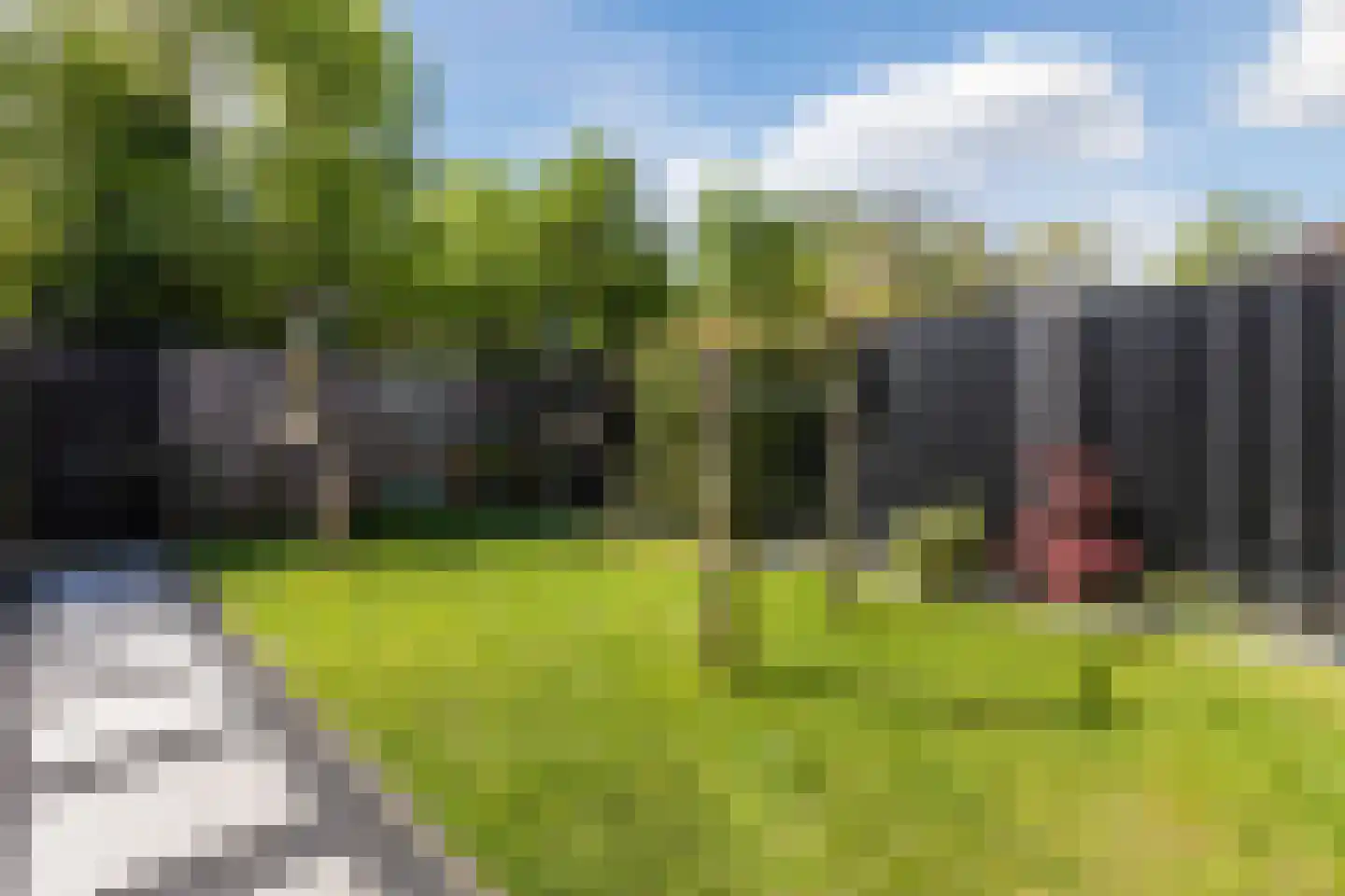 Kardinaalsmuts 110 Cuijk thumbnail 4